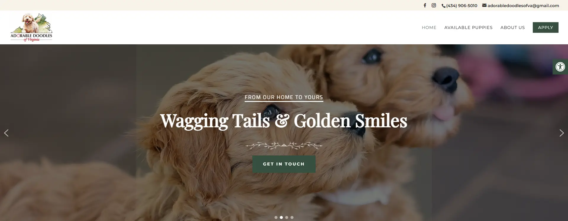 Adorable Doodles website Home page